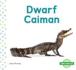 Dwarf Caiman