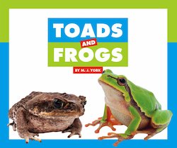 Toads and Frogs