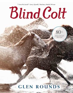 The Blind Colt