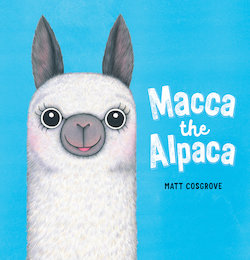 Macca the Alpaca