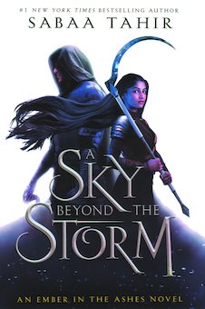 A Sky Beyond the Storm