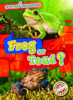 Frog or Toad?