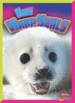 Baby Harp Seals