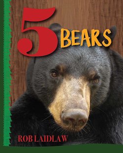 5 Bears