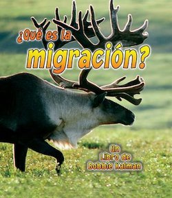 Que es la Migracion? (What Is Migration?)