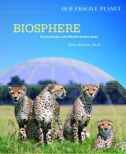 Biosphere: Ecosystems and Biodiversity Loss