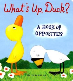 What's Up, Duck?: A Book of Opposites