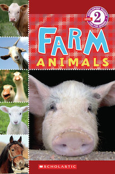 Farm Animals