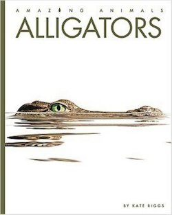 Alligators