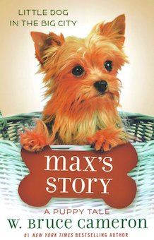 Max's Story