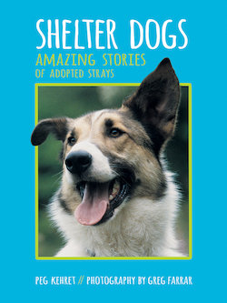 Shelter Dogs: Amazing Stories of Adopted Strays