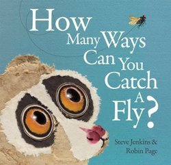 How Many Ways Can You Catch a Fly?