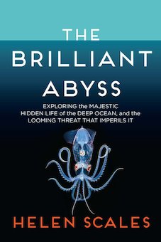 The Brilliant Abyss