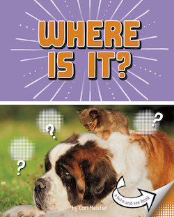 Where Is It?: A Turn-And-See Book