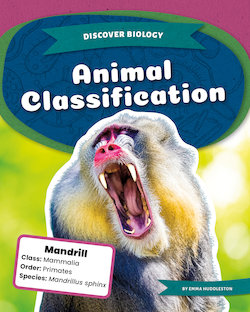 Animal Classification