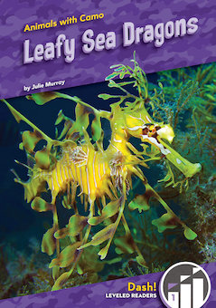 Leafy Sea Dragons