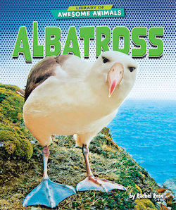 Albatross