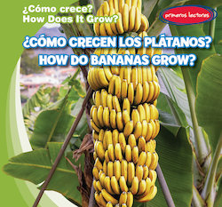 Como crecen los platanos? = How Do Bananas Grow?