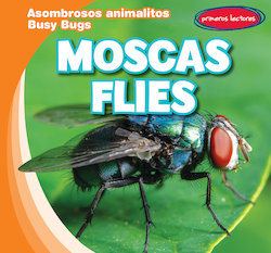 Moscas = Flies