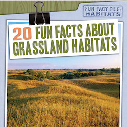 20 Fun Facts About Grassland Habitats