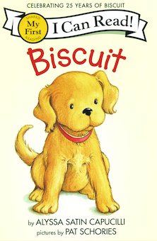 Biscuit