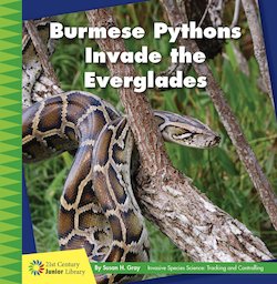 Burmese Pythons Invade the Everglades