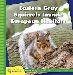 Eastern Gray Squirrels Invade European Habitats