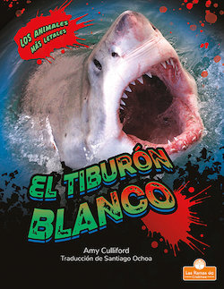 El tiburon blanco (Great White Shark)