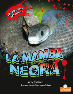 La mamba negra (Black Mamba)