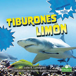 Tiburones limon (Lemon Sharks)