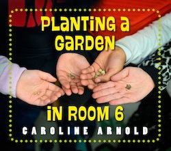 Planting a Garden in Room 6: From Seeds to Salad