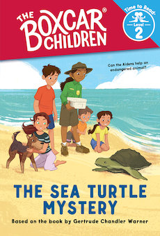 The Sea Turtle Mystery