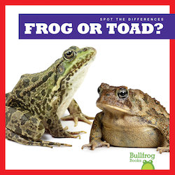 Frog or Toad?