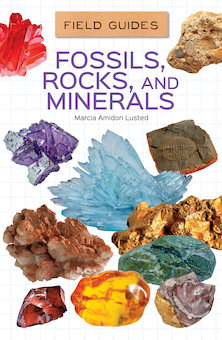 Fossils, Rocks, and Minerals