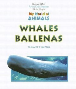 Whales = Ballena: Ballenas