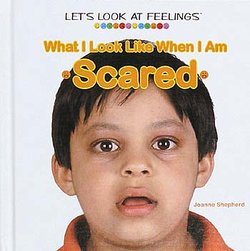 What I Look Like When I Am Scared