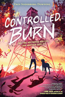 Controlled Burn