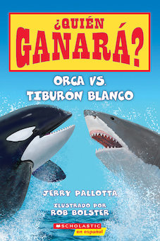 Orca vs. tiburon blanco (Killer Whale vs Greate White Shark)