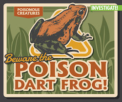 Beware the Poison Dart Frog!