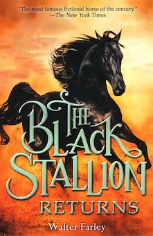 The Black Stallion Returns