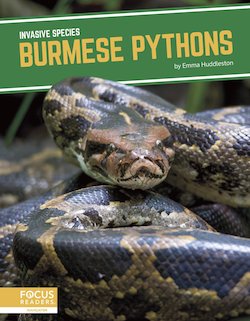 Burmese Pythons