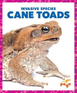 Cane Toads