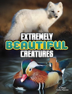 Extremely Beautiful Creatures