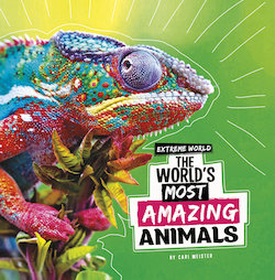 The World's Most Amazing Animals