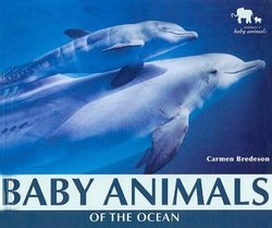 Baby Animals of the Ocean