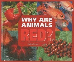 Why Are Animals Red?