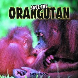 Save the Orangutan