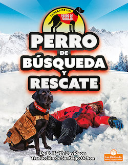 Perro de búsqueda y rescate (Search and Rescue Dog)