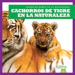 Cachorros de tigre en la naturaleza (Tiger Cubs in the Wild)