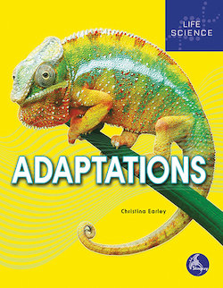 Adaptations